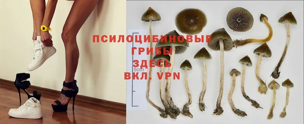 ECSTASY Абаза