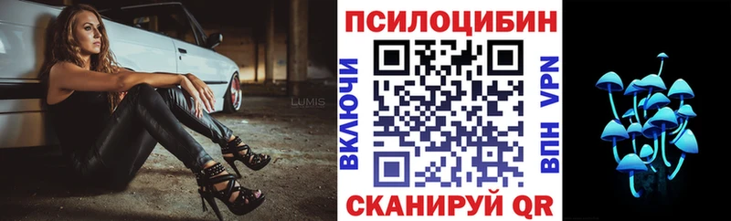 сколько стоит  Туапсе  Галлюциногенные грибы мицелий 