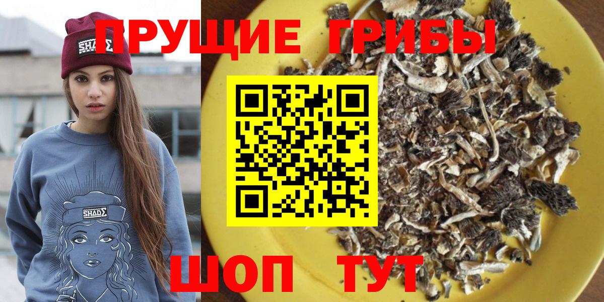Галлюциногенные грибы Cubensis Туапсе
